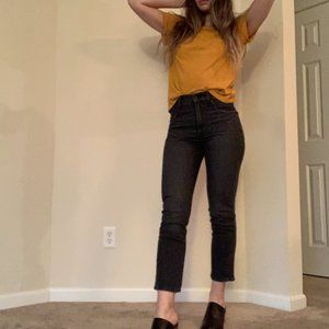 BNWT Madewell Perfect Vintage Crop in Sumner Wash